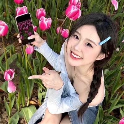 凤皇传